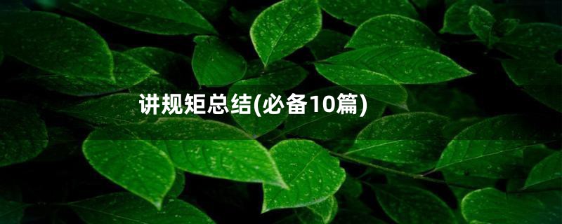 讲规矩总结(必备10篇)