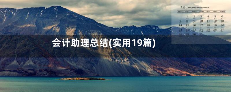 会计助理总结(实用19篇)