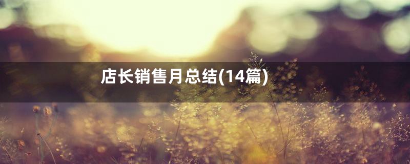 店长销售月总结(14篇)