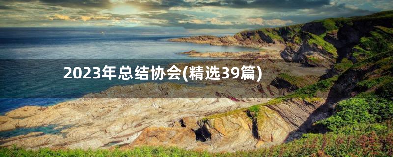 2023年总结协会(精选39篇)