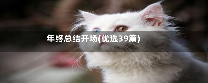 年终总结开场(优选39篇)