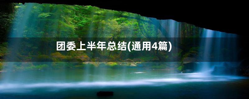 团委上半年总结(通用4篇)