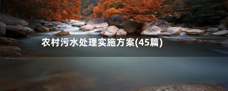 农村污水处理实施方案(45篇)