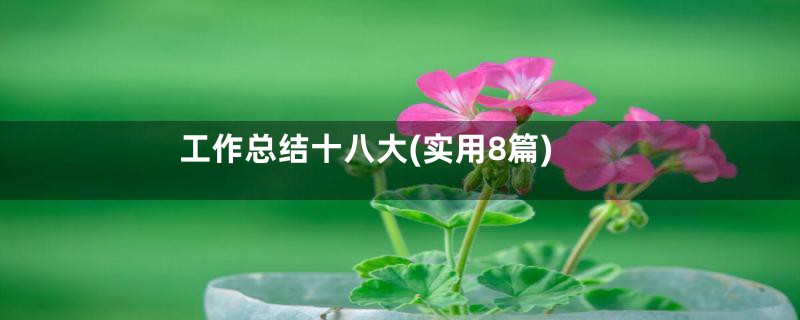 工作总结十八大(实用8篇)