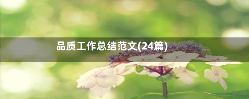 品质工作总结范文(24篇)