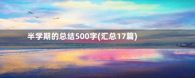 半学期的总结500字(汇总17篇)
