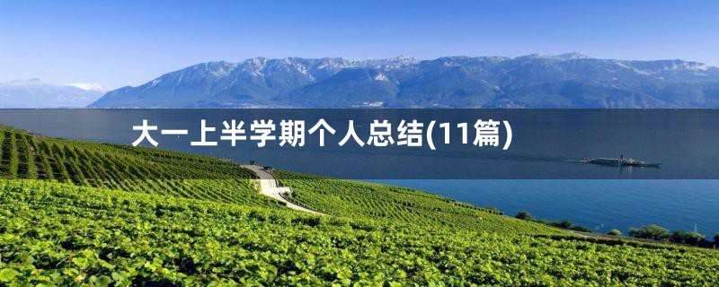大一上半学期个人总结(11篇)