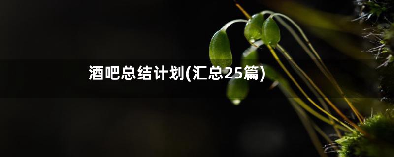 酒吧总结计划(汇总25篇)