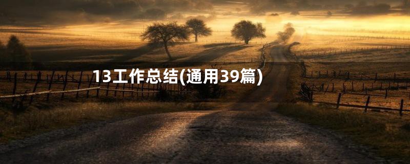 13工作总结(通用39篇)