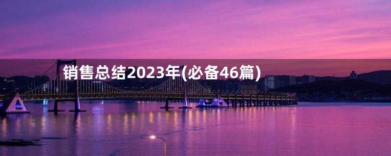 销售总结2023年(必备46篇)