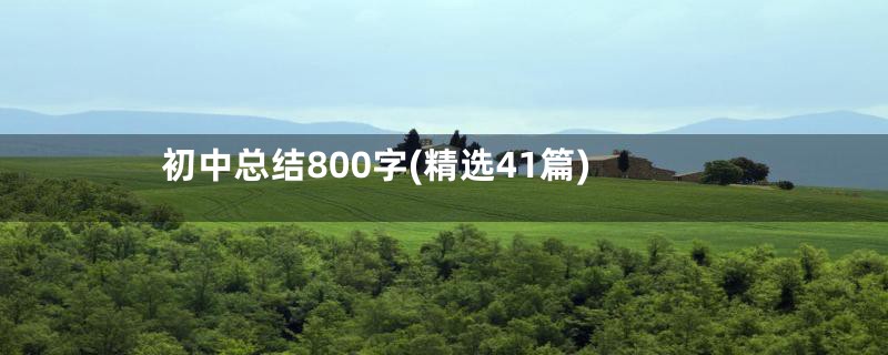 初中总结800字(精选41篇)