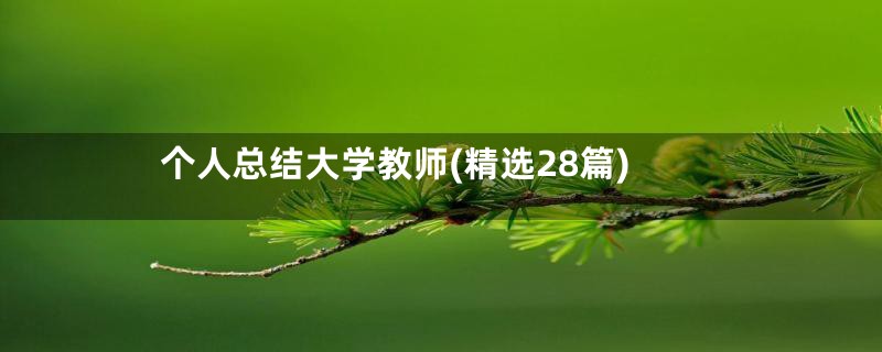 个人总结大学教师(精选28篇)