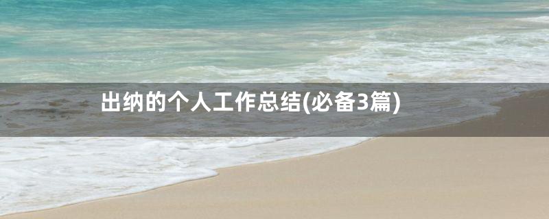 出纳的个人工作总结(必备3篇)