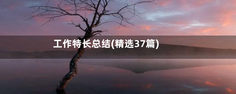 工作特长总结(精选37篇)