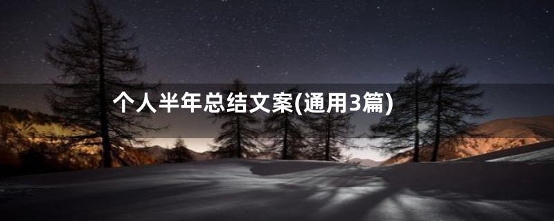 个人半年总结文案(通用3篇)
