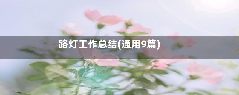 路灯工作总结(通用9篇)