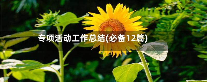 专项活动工作总结(必备12篇)