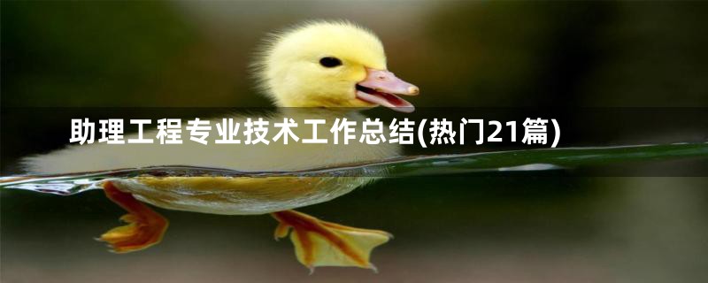 助理工程专业技术工作总结(热门21篇)