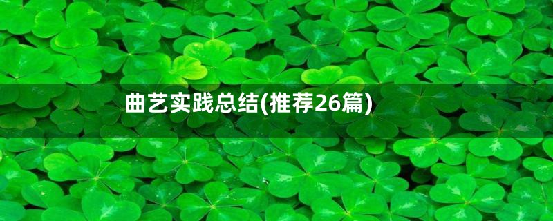 曲艺实践总结(推荐26篇)
