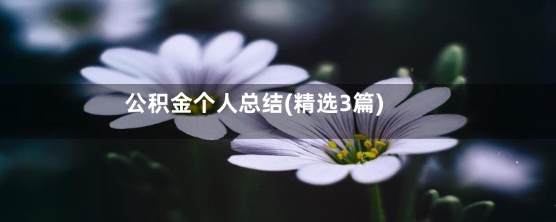 公积金个人总结(精选3篇)