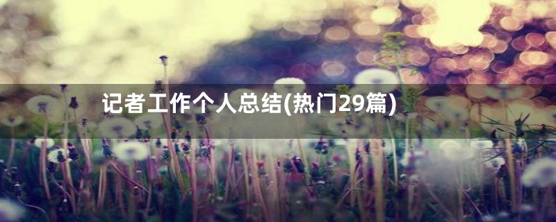 记者工作个人总结(热门29篇)