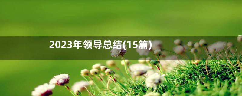 2023年领导总结(15篇)