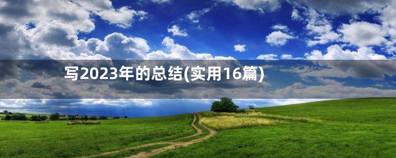 写2023年的总结(实用16篇)