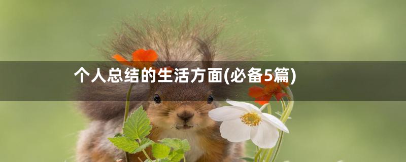 个人总结的生活方面(必备5篇)