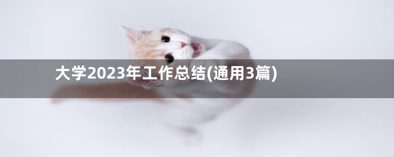 大学2023年工作总结(通用3篇)
