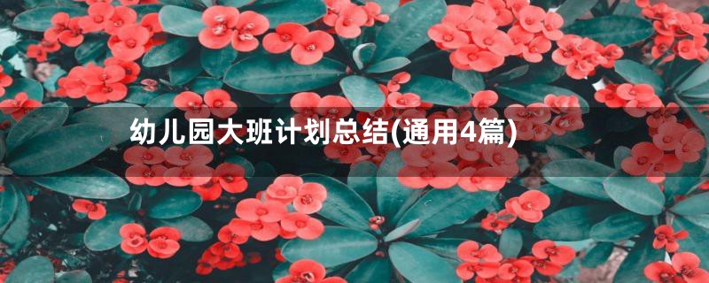 幼儿园大班计划总结(通用4篇)