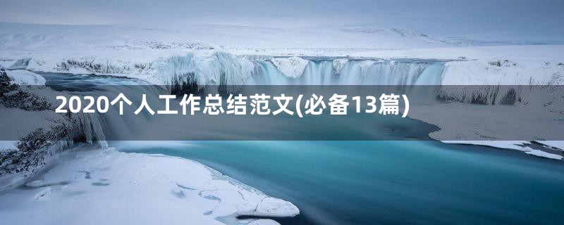 2020个人工作总结范文(必备13篇)