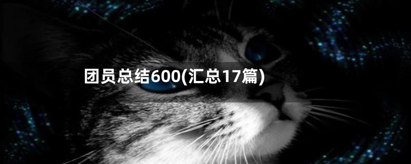 团员总结600(汇总17篇)