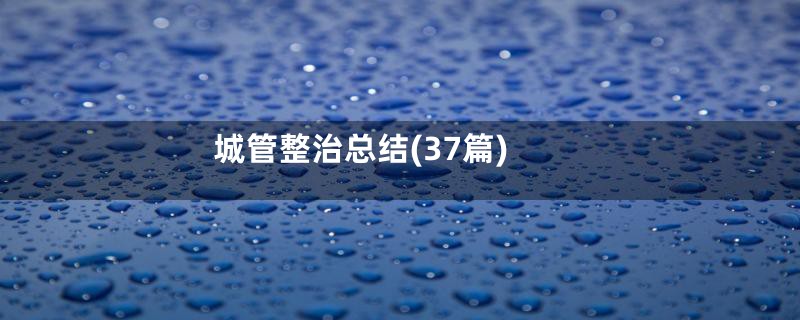 城管整治总结(37篇)