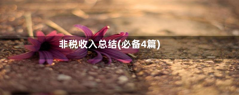 非税收入总结(必备4篇)