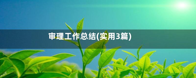 审理工作总结(实用3篇)