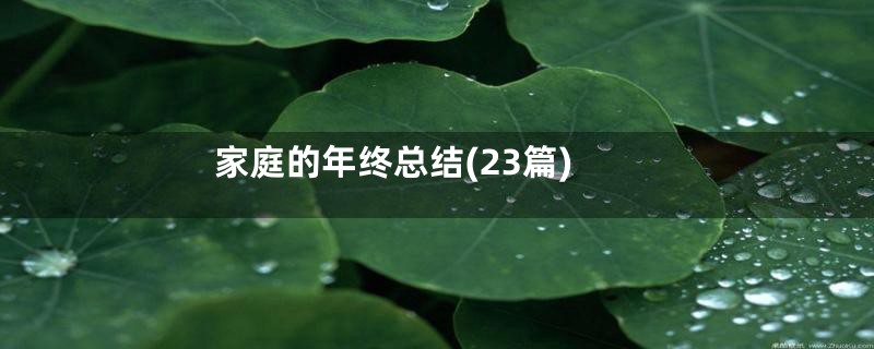 家庭的年终总结(23篇)