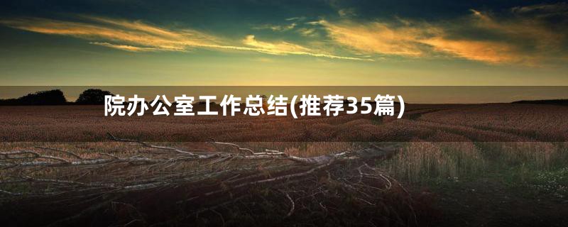 院办公室工作总结(推荐35篇)
