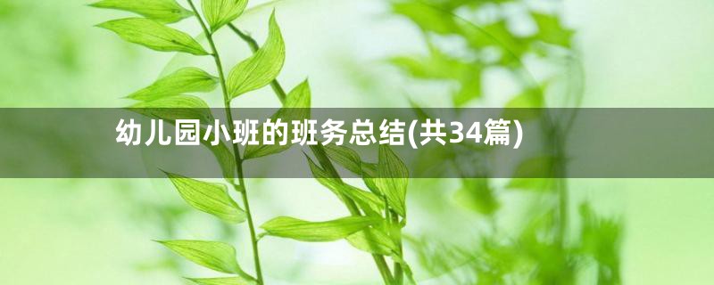 幼儿园小班的班务总结(共34篇)