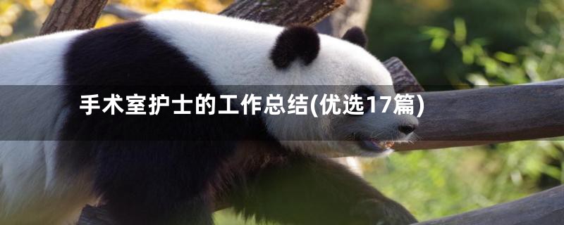 手术室护士的工作总结(优选17篇)