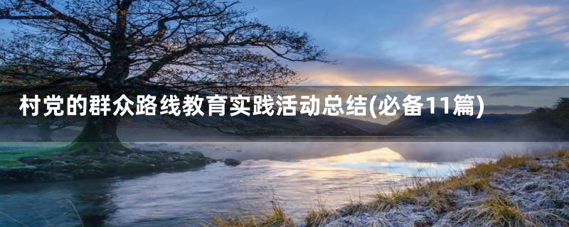 村党的群众路线教育实践活动总结(必备11篇)