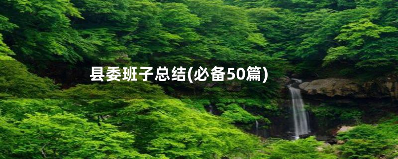 县委班子总结(必备50篇)