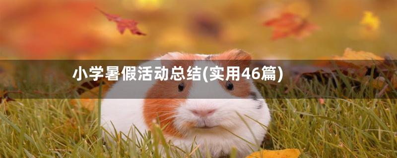 小学暑假活动总结(实用46篇)