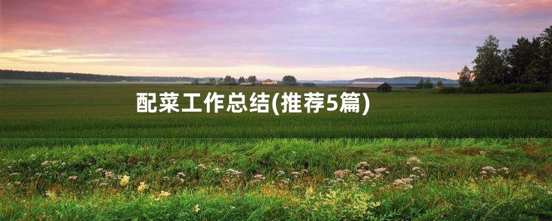 配菜工作总结(推荐5篇)