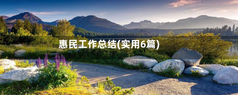 惠民工作总结(实用6篇)