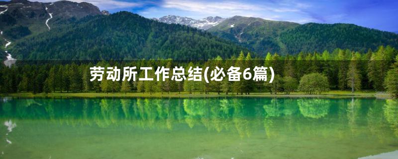 劳动所工作总结(必备6篇)