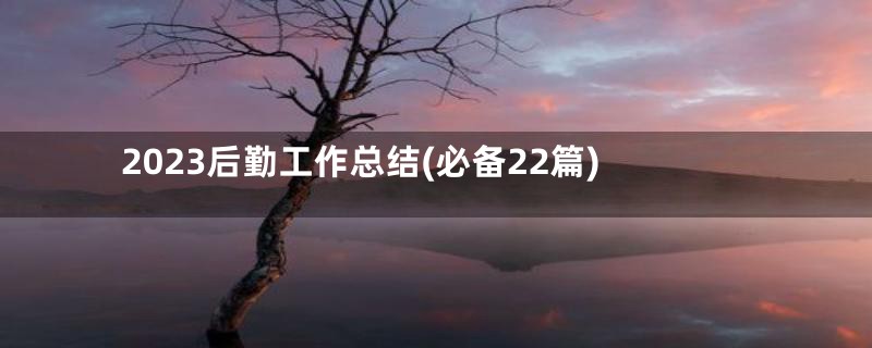 2023后勤工作总结(必备22篇)