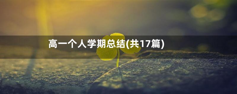 高一个人学期总结(共17篇)