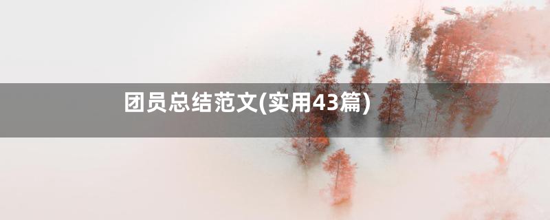 团员总结范文(实用43篇)