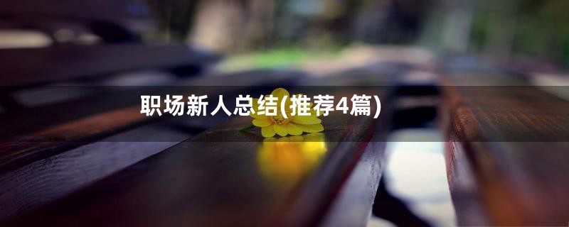职场新人总结(推荐4篇)
