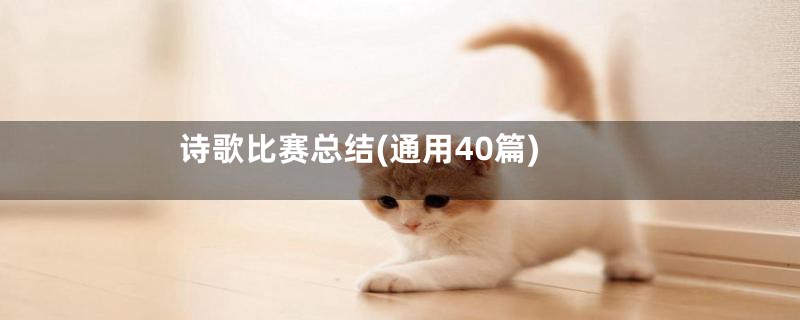 诗歌比赛总结(通用40篇)